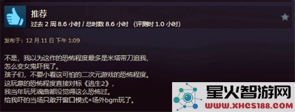 Steam米塔游戏的详细介绍与玩法解析