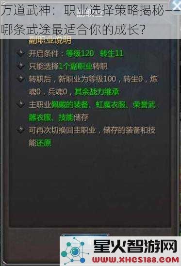 万道武神:职业选择策略揭秘——哪条武途最适合你的成长?