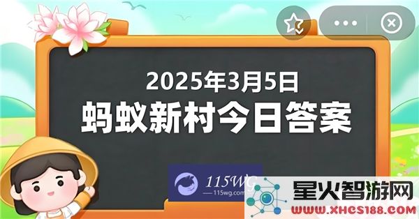 蚂蚁新村今日正确答案更新至2025年3月5日最新动态和活动信息