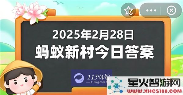 蚂蚁新村今日最新正确答案更新至2025年2月28日的相关信息