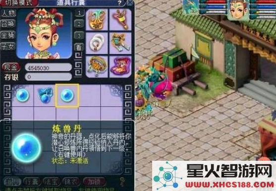 梦幻西游内丹更换的方法与步骤详细解析，让你轻松获取新内丹