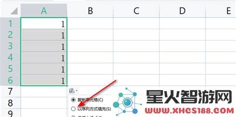 如何在Excel中处理数字123456及其他类似数据的技巧与方法