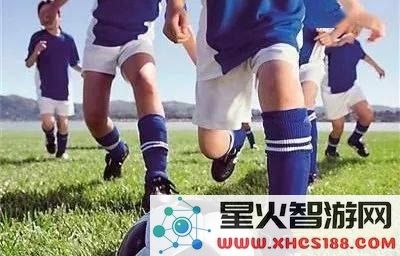 激情燃烧的绿茵盛宴：狂热足球世界中的欢腾与梦想
