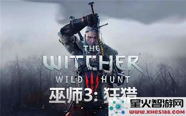 巫师3失踪战斗支线任务完整流程攻略与战术解析