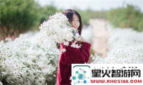 三年内热门影片免费观看国语：这份精彩片单究竟为何引发观众热烈追捧