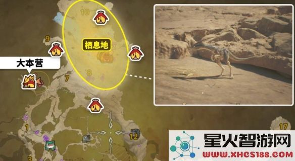 怪物猎人荒野中黑风切龙的具体位置和捕捉攻略分享
