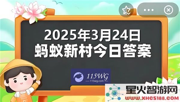 蚂蚁新村2025年3月24日最新答案解析与相关信息更新