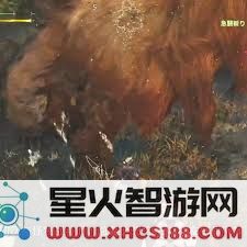 怪物猎人荒野：深度解析操虫棍的技能运用与战斗策略