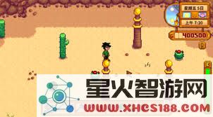 深入星露谷物语的探险:成功献祭沙漠柱子的实用技巧与策略指南