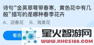 探讨春日花卉的魅力:如何理解诗句中‘金英翠萼带春寒’的深意与黄色花朵的生机