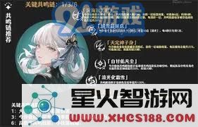 鸣潮2.0今汐共鸣链抽取技巧分享:快速提高抽取成功率的方法