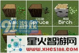 如何让《我的世界》中的树苗迅速生长?揭秘生长条件与实用技巧