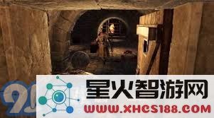 深入揭秘盗贼职业独特的魅力与神秘世界,探索其背后的故事与文化