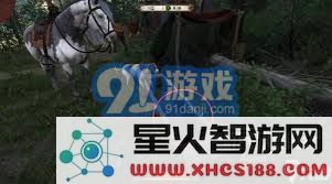 天国拯救2支线任务详解:深入探讨爱、自由与荣耀的挑战与策略