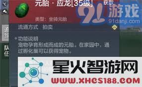 掌握妄想山海中应龙捕捉与获取资源的高效策略指南与技巧分享