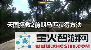 天国拯救2进阶技巧:公猫大师如何巧妙逃课提升游戏排名