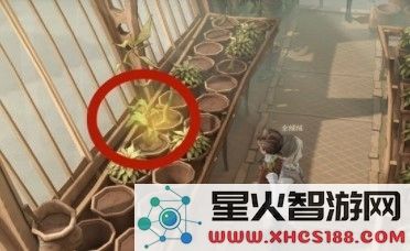 哈利波特魔法觉醒不同的植物有不同的用途拼图位置攻略