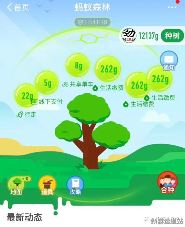 2025正式发售日已确认»蚂蚁森林配置需求详细解读及独家内幕曝光