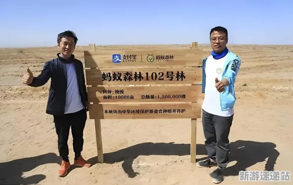 2025发售日确认现场»蚂蚁森林配置需求公布全解析，独家内幕消息