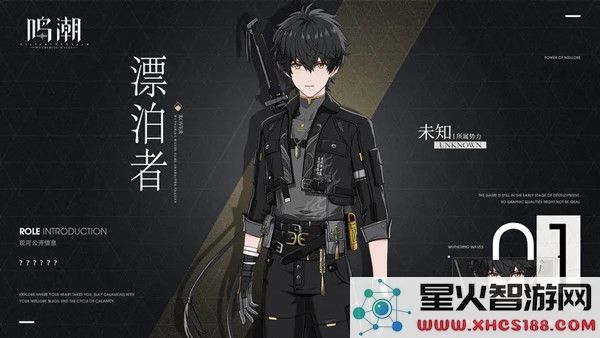 鸣潮国角色介绍