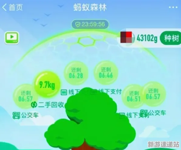 《蚂蚁森林》2025版本更新！赛季机制解读深度技术解析