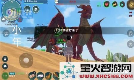 如何在创造与魔法中成功击晕飞龙 获取炸弹果与迷之墨汁的具体方法与技巧