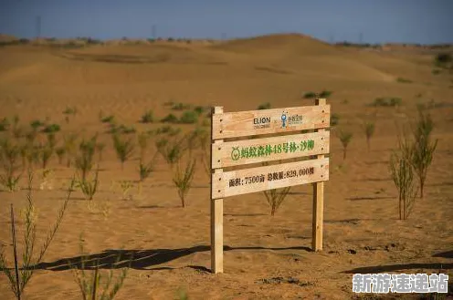 2025最新动态»蚂蚁森林NPC行为建模，优化方案揭秘速看！