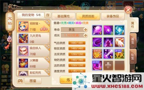 梦幻诛仙宠物化生10技能的攻略与技巧解析,掌握这些方法助你轻松提升宠物实力