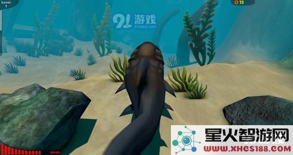 海底大猎杀无法进入的原因及解决方案详解,教你如何顺利游戏