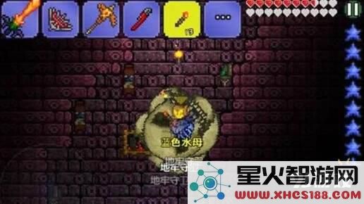 泰拉瑞亚地牢守卫怎么打 PE地牢守卫简单打法