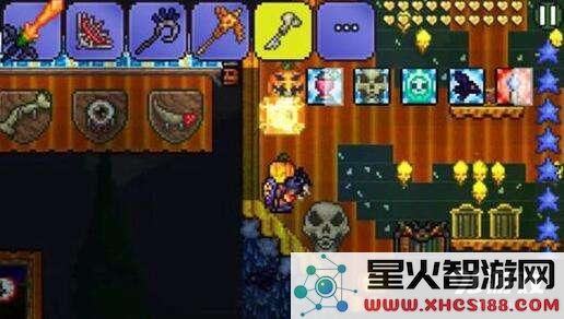 泰拉瑞亚地牢守卫的攻略与掉落物解析,教你如何轻松击败地牢守卫