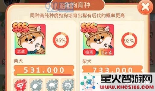 如何在家居改造中成功培养出优秀的狗狗伴侣技巧与方法