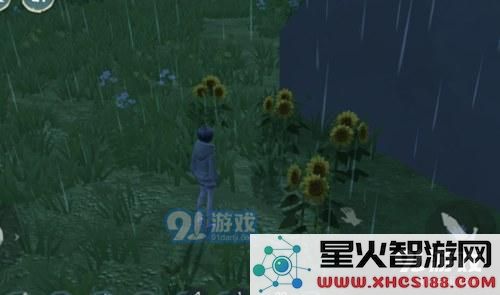 在创造与魔法中向日葵的作用是什么?以及其获取地点的详细分享