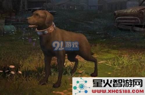 明日之后挖矿工与采麻工哪个好?对比分析挖矿工和采麻工的优缺点及适用场景