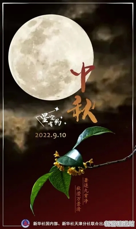 2025硬件革命现场»星空外设深度适配全解析，性能对比评测