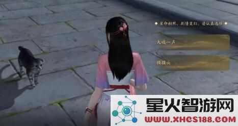天涯明月刀手游猫之友奇遇完美结局详解及攻略分享