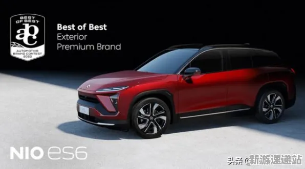2025版本更新深度追踪»羊了个羊赛季机制解读性能对比评测