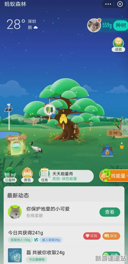 2025发售日确认»蚂蚁森林丨配置需求公布，硬件兼容报告