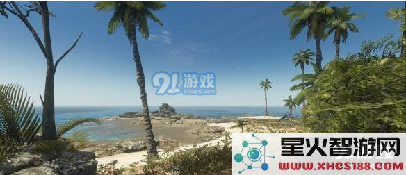 《荒岛求生》快速获取石头的方法总结及应对石头不足的解决方案