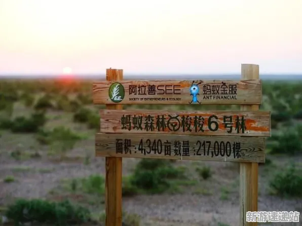 《蚂蚁森林》2025年AI技术的重大突破:动态难度调整性能的深入对比评测分析