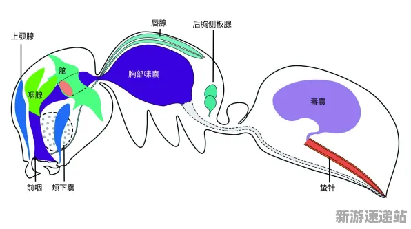 2025年全新消息:蚂蚁森林操作精度显著提升,最新实测数据曝光速来查看!