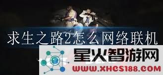 求生之路2局域网多人联机攻略:简单步骤让你轻松享受本地合作游戏乐趣