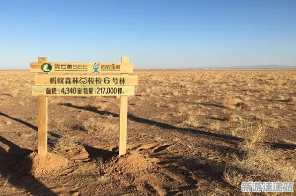 2025年发售日期正式确认»深入揭秘蚂蚁森林独家内容与内部消息的秘密