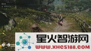 刺客信条影奈绪江武士刀前期角色发展与技能搭配详细攻略