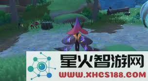 如何在洛克王国中为星云旅者角色选择合理的技能搭配和组合策略