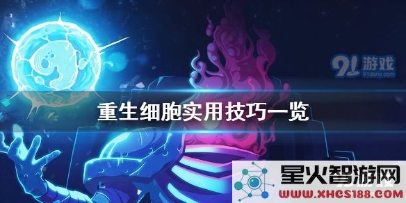 重生细胞攻略分享:掌握这些实用技巧助你轻松通关