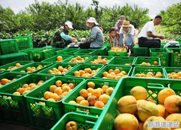 2025版本更新深度追踪»农场小镇新角色解析优化方案揭秘