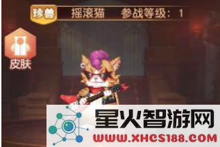 驯龙物语中如何获取摇滚猫宠物?其属性技能有哪些详细介绍?