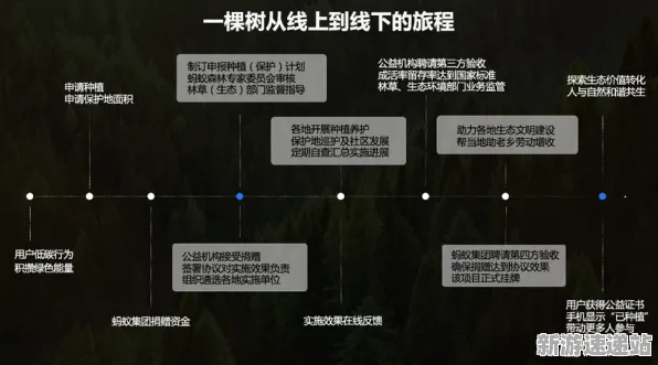 2025版本更新深度追踪»蚂蚁森林平衡性调整优化方案揭秘