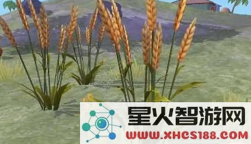 创造与魔法蓝马饲料制作攻略